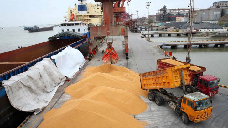 کاهش ۷ درصدی ارزش واردات نهاده‌های دام و طیور