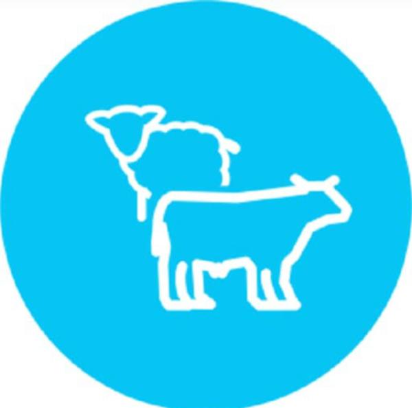 برنامه کنترل پیشگیری و ریشه‌کنی بیماری‌ها در تمام روستاهای کشور اجرا می‌شود