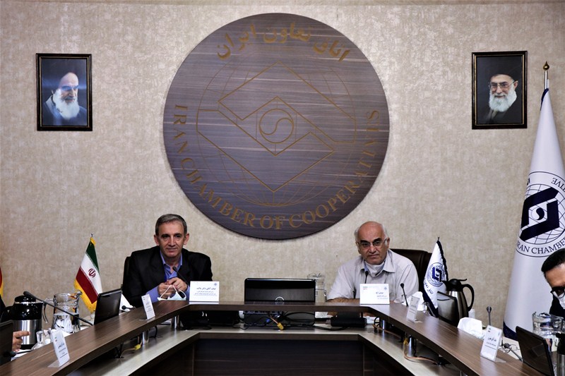 ساماندهی تشکل های موازی در بخش دام و طیور در دستور کار کمیته ملی بهداشت دام