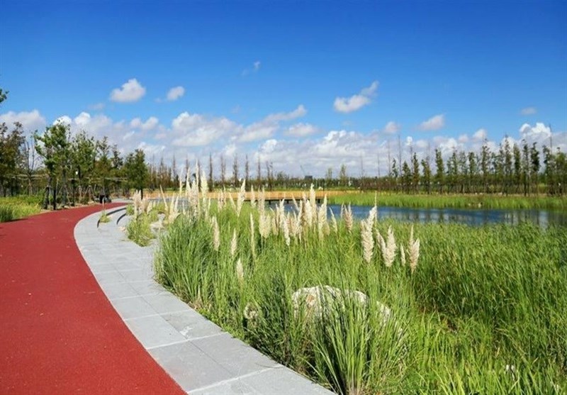 ضرورت تشکیل پژوهشگاه آبخیزداری