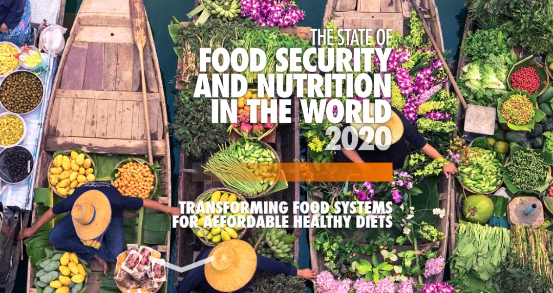 دستیابی به جهانی عاری از گرسنگی در هاله‌ای از ابهام