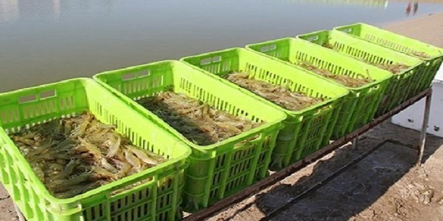 بخشودگی اصل، سود و فرع تسهیلات پرداختی به خسارت دیدگان ناشی از سیل در استان سیستان و بلوچستان