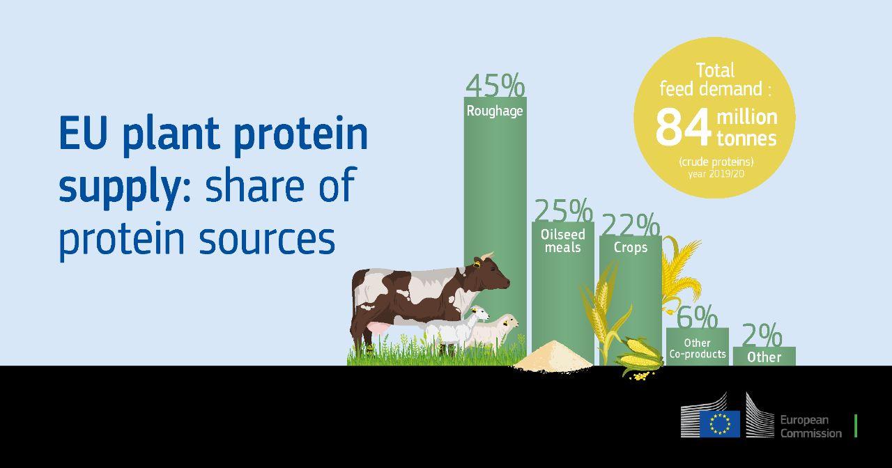 رشد پروتئین خوراکی در اتحادیه اروپا