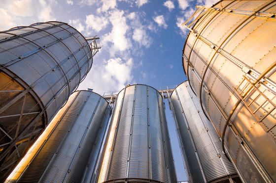 ‏روسیه قصد دارد وابستگی به ‎افزودنی های ‎خوراک وارداتی را کاهش دهد