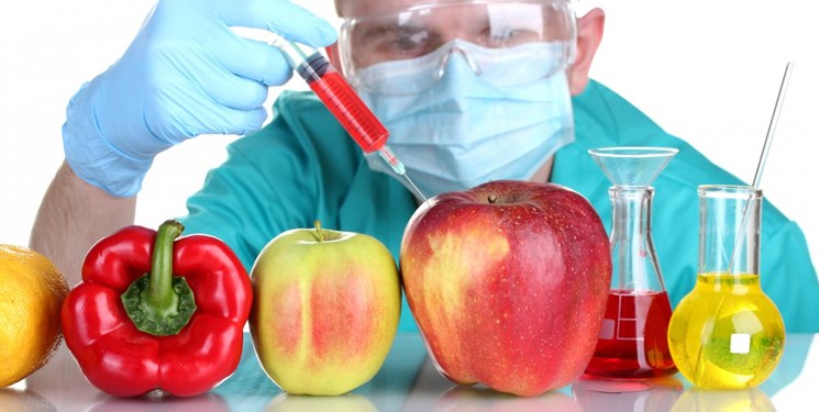 قاچاق بذرهای تراریخته به کشور