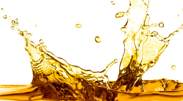 تضاد واردات دانه های روغنی با منافع ملی