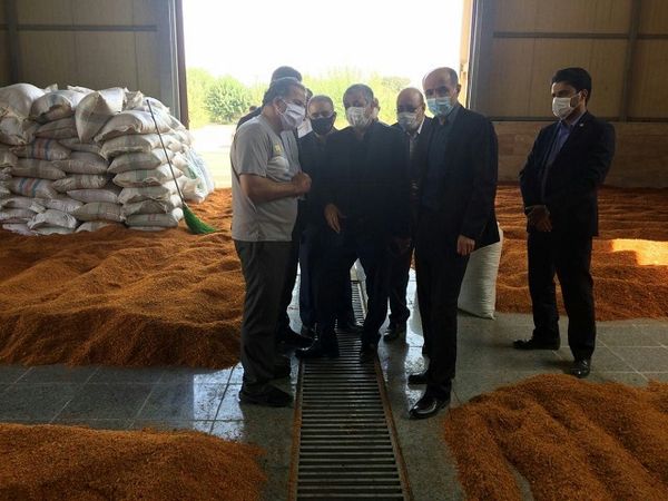 پسماند میادین میوه و تره بار خوراک دام می‌شود