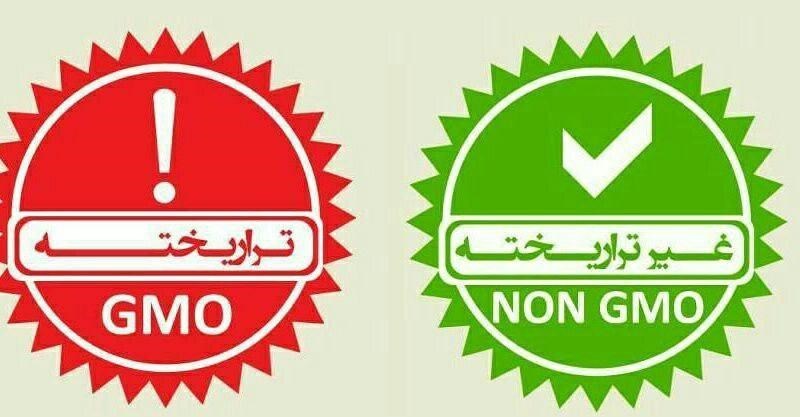 آمریکایی‌ها کاه تراریخته را به گاو هم نمی‎دهند