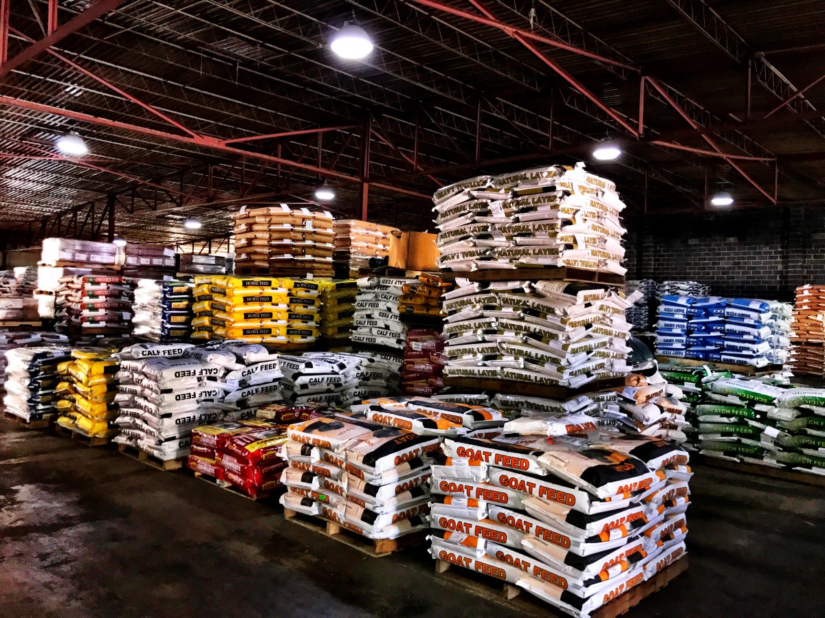 افت جهانی قیمت ویتامین E50 و D3 500