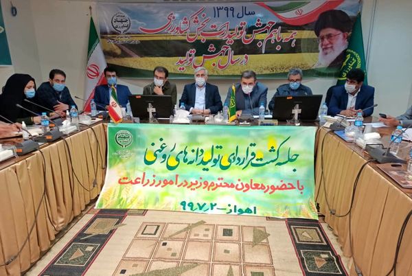 پتانسیل تولید ۲۰۰ هزار تن کلزا در استان خوزستان