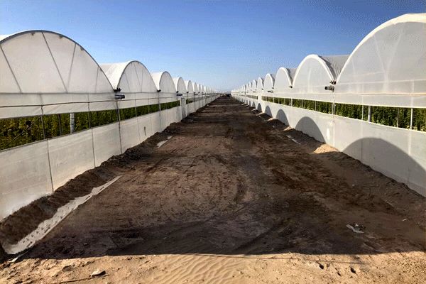 ضرورت رفع موانع قانونی برای توسعه گسترده شهرک‌‌های کشاورزی