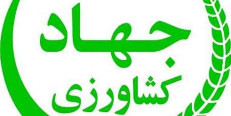 وزارت جهاد کشاورزی و سازمان تامین اجتماعی تفاهم نامه همکاری امضا کردند