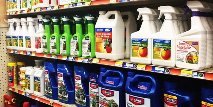  مدیرکل دفتر آفتکش های سازمان حفظ نباتات گفت: «علفکش گلایفوزیت در گروه ۳ یا کم خطر به لحاظ ایجاد سرطان در انسان دسته بندی شده است و به صورت رسمی وارد نمی شود.»