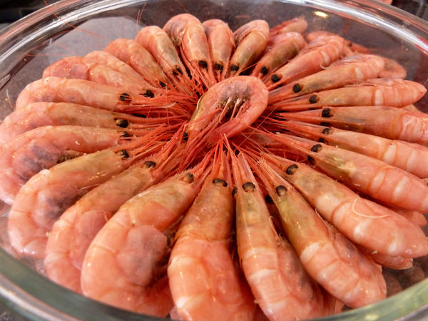 ۴۶ هزار تن میگو در کشور تولید شد