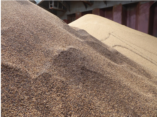 خاک آجر و خشت گلی در محموله کنجاله سویای توزیعی شرکت پشتیبانی امور دام