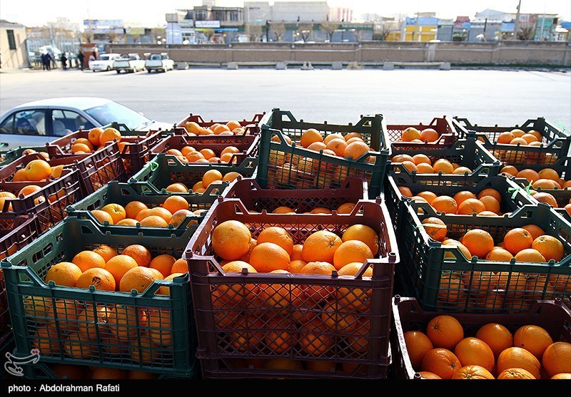 وزارت جهاد کشاورزی علیرغم مخالفتش، مسئول تنظیم بازار میوه شب عید شد+سند