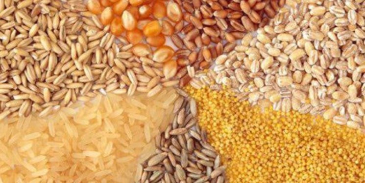 نقش اجرای سیاست یکجانشینی عشایر در مشکلات تامین نهادههای دامی