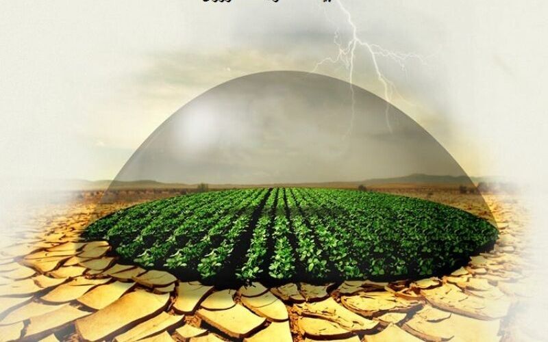 غرامت خسارت‌دیدگان بخش کشاورزی هفتگی پرداخت می‌شود