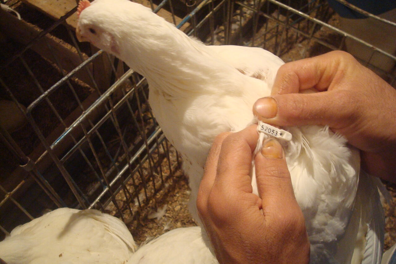 گامی در مسیر حمایت از تولید داخلی