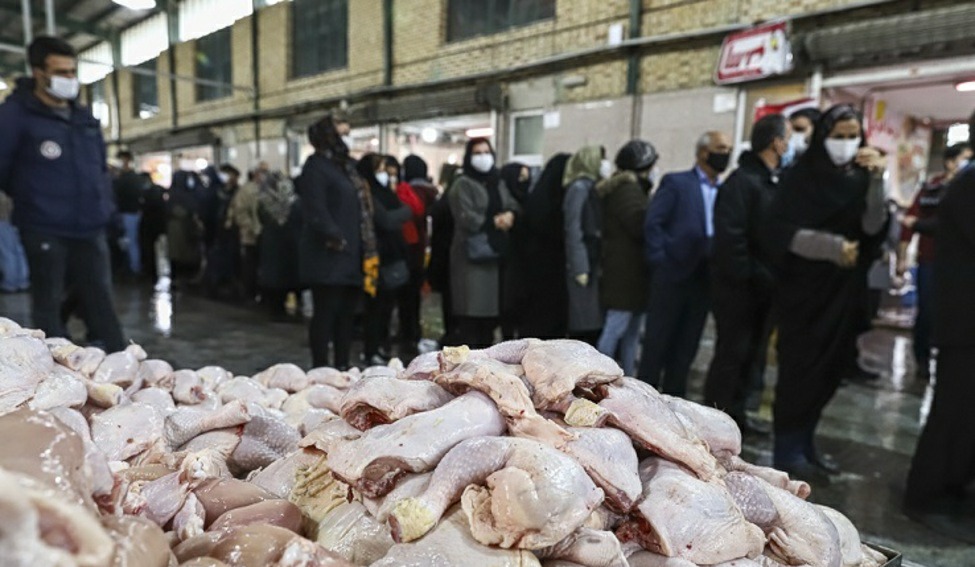 محصول پراکندگی اختیارات حوزه کشاورزی| نهاده‌های وارداتی ۴۲۰۰ تومانی به نام مرغدار به کام واردکننده| روایت امضا‌های طلایی