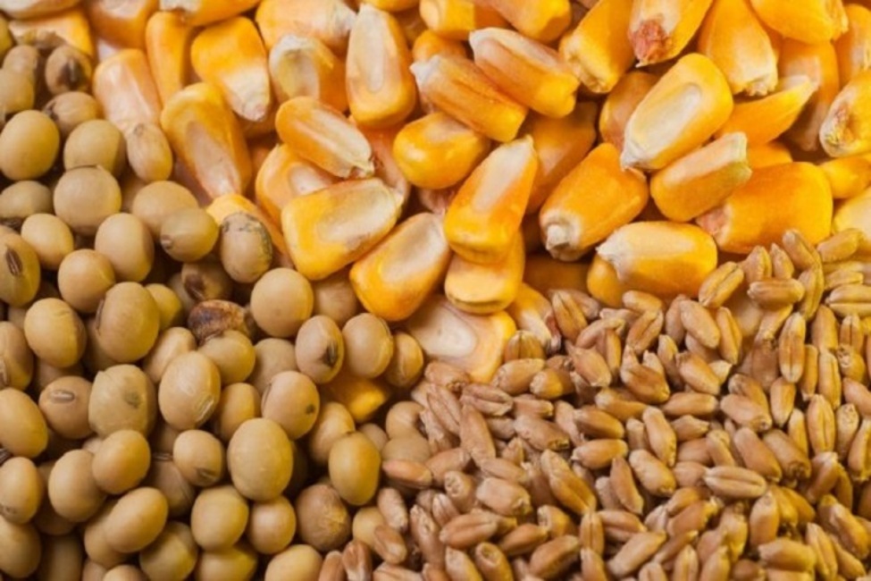 ارسال گزارش نابسامانی حوزه نهاده‌های دامی به دستگاه‌های امنیتی و نظارتی