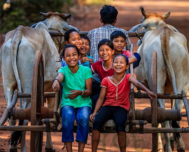مقاومت میکروبی سالانه ۷۰۰ هزار نفر را بهکام مرگ میکشد، ایمنی غذایی را تضعیف و آب و خاک را آلوده میکند