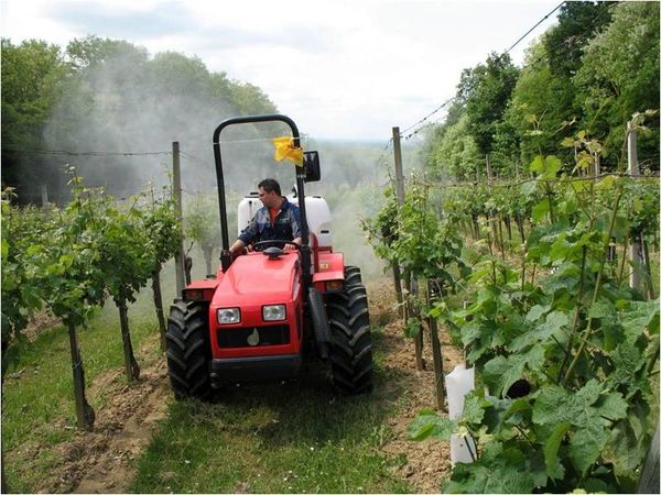 ۳۵ درصد از باغات پسته و زیتون در کشور مکانیزه برداشت می‌شود