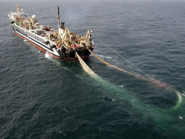 فراخوان اعلام تمایل برای تغییر روش صید مالکین کشتی‌های ترال