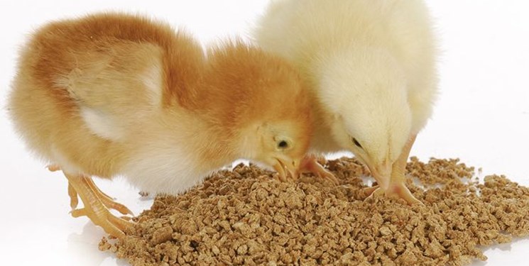 سیستم تامین نهاده مشکل دارد