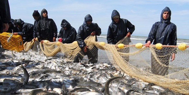 افزایش شناور صیادی جدید به صلاح نیست