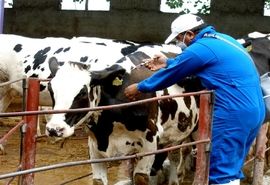 پیشنهاد اصلاح آییننامه رسیدگی به تخلفات صنفی شاغلان دامپزشکی