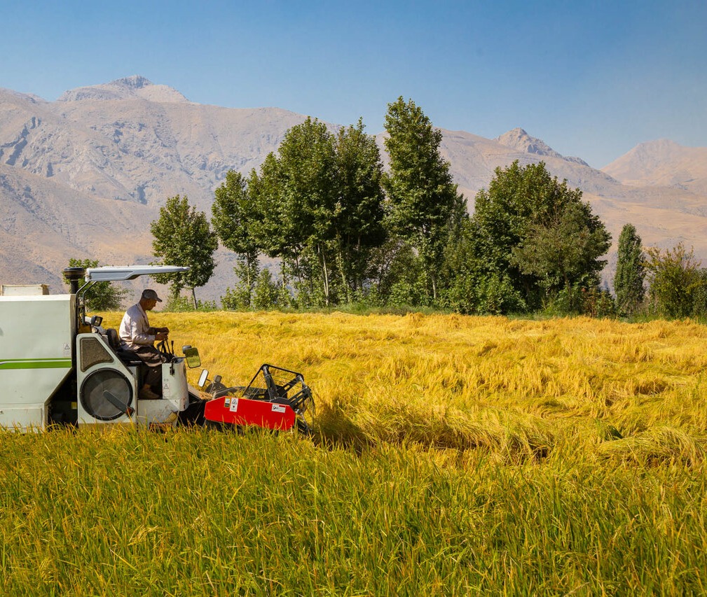 ۷۰ درصد کودهای شیمیایی توزیعی تولید داخل گران نشدند