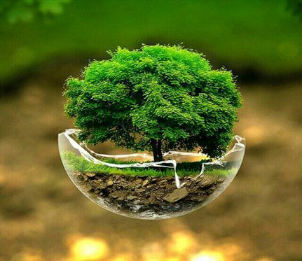 حفظ و صیانت از خاک یک وظیفه جهانی است