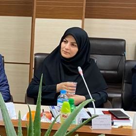 توسعه و نوسازی ۴۱ هزار هکتار از باغات گرمسیری و نیمه‌گرمسیری در سال جاری