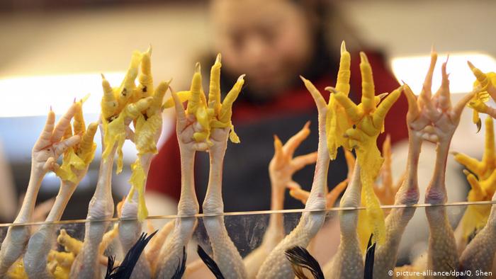 بالاخره پای ترکیه به صادرات محصولات مرغ به چین باز شد