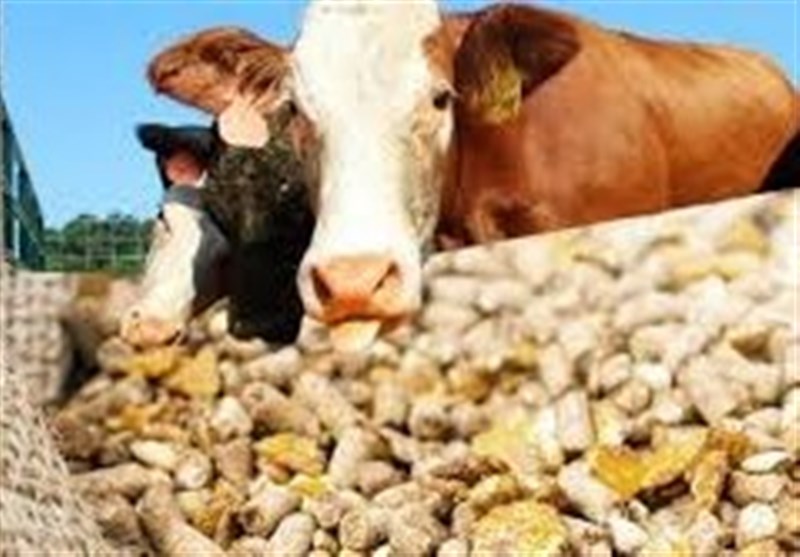 ۲۷ هزار تن نهاده دامی برای عشایر تامین شد