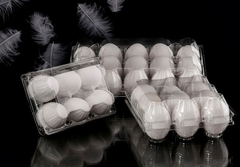 شبکه توزیع سنتی تخممرغ عامل افزایش قیمت در تهران است