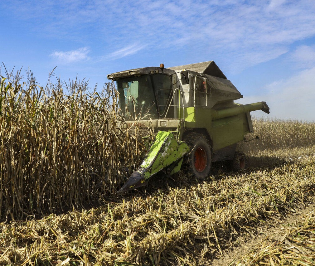 آمادگی شرکت توسعه کشت ذرت کشور برای اجرای طرح کشاورزی قراردادی