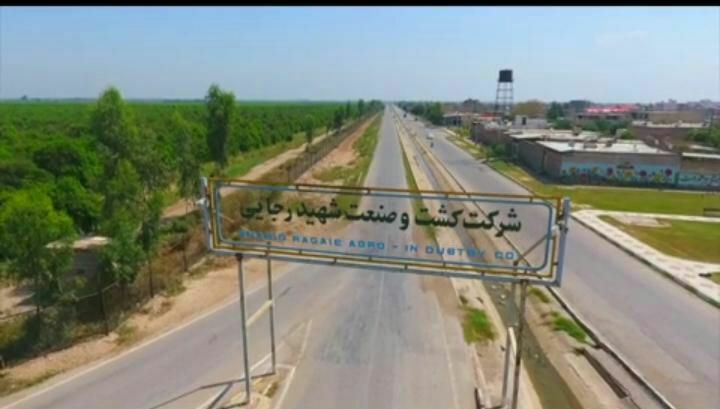 رکورد تولید بذر کلزا کشور در کشت و صنعت شهید رجایی دزفول