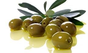 تولید ۱۲۰ هزار تن زیتون در کشور