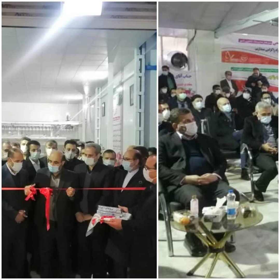 افتتاح واحدهای تولید زنجیره گوشت مرغ