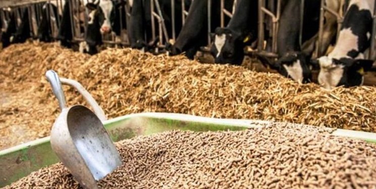 تخصیص ۱٫۳ میلیارد یورو برای واردات کالای اساسی