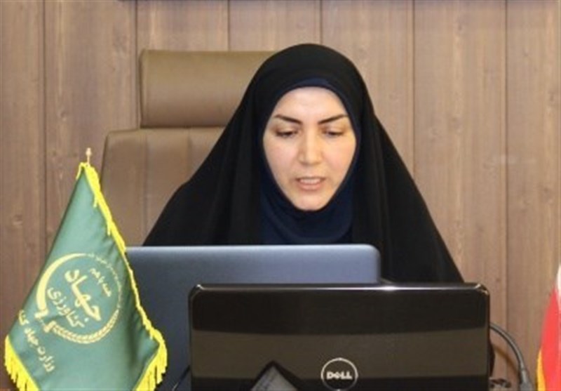 مرغ سایز سالم تر است و صرفه اقتصادی بیشتری برای تولید کننده دارد