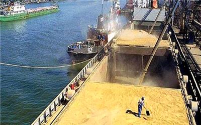 چگونه نظارت بر واردات نهاده‌های دامی تقویت می شود؟