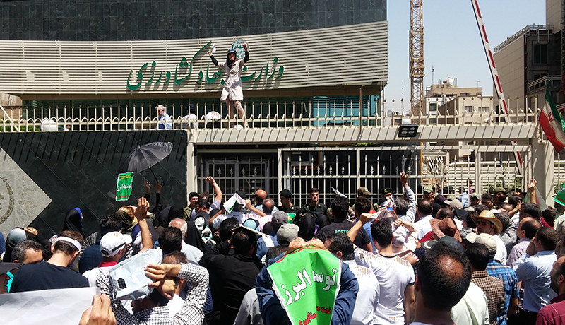 تجمع مرغداران مقابل وزارت کشاورزی: