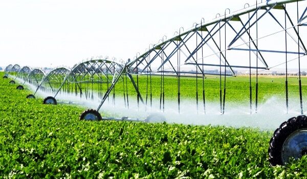 زمینهای کشاورزی صاحب سند میشوند