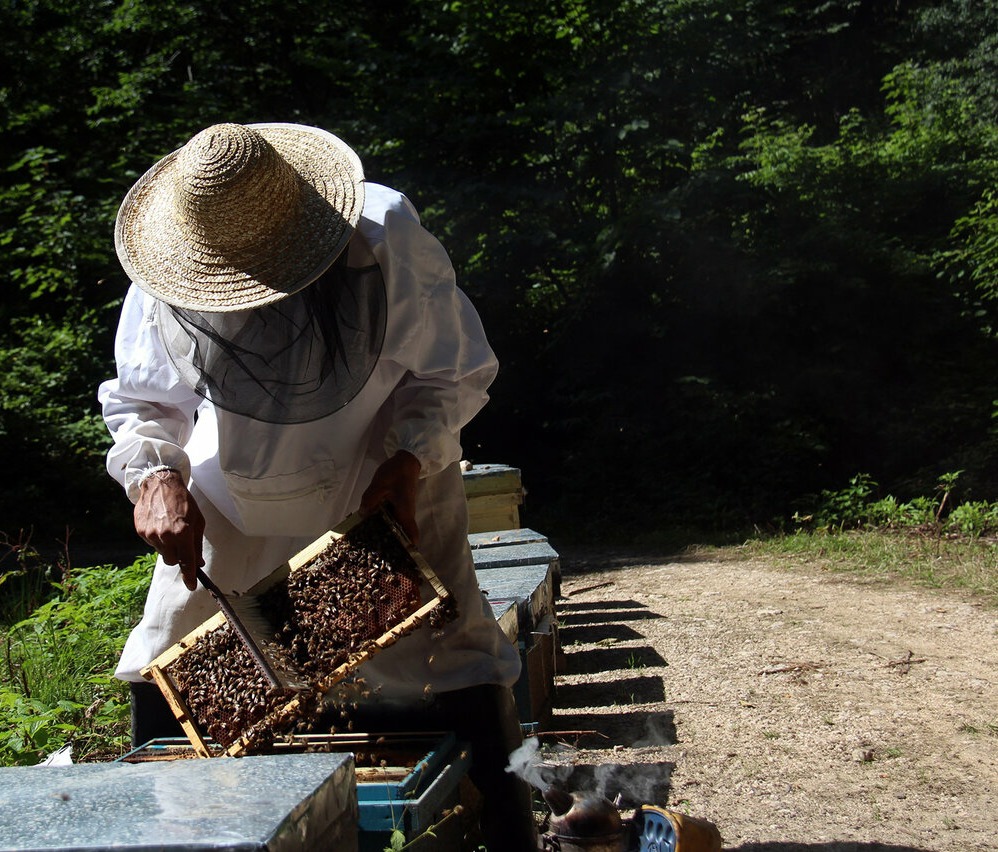 زنبورداران شناسنامه‌دار شدند