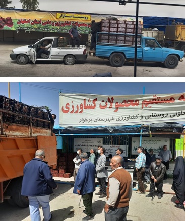 توزیع بیش از ۶۵۰ تن میوه در ایام نوروز توسط شبکه تعاونی روستایی استان اصفهان