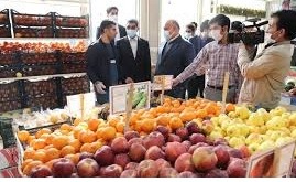 سازمان مرکزی تعاون روستایی با مدیریت جهادی سربلند در تامین میوه شب عید