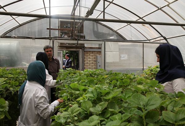 افزایش ۳ برابری هنرستانهای کشاورزی وزارت جهاد کشاورزی از ۲۴ به ۴۰ هنرستان